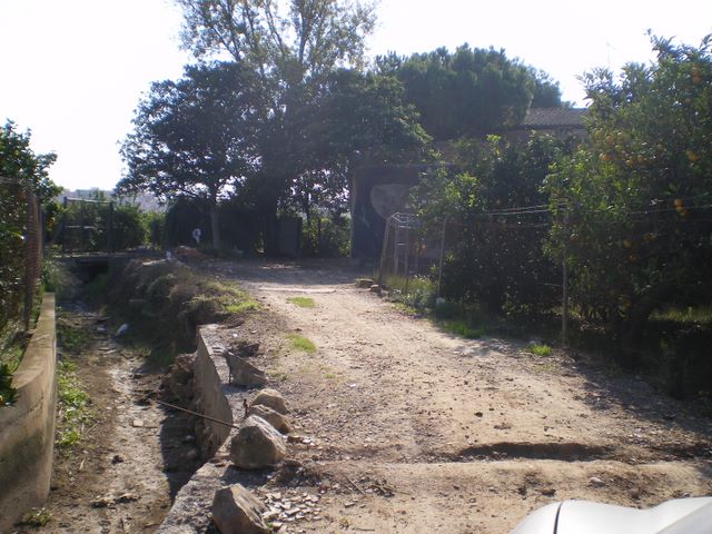 BRAÇ DE FRANC